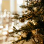 Find the Perfect Christmas Trees for Sale