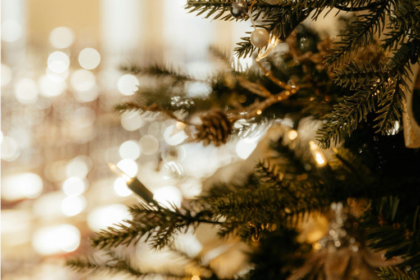 Find the Perfect Christmas Trees for Sale